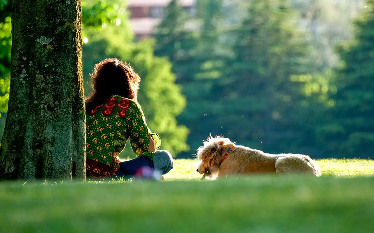 young woman in green print blouse sitting against a tree with her her dog in a parkog in