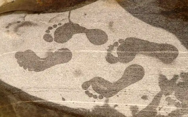footprint-3099_6401 Gail with Dr. Bradley Nelson, January 2015